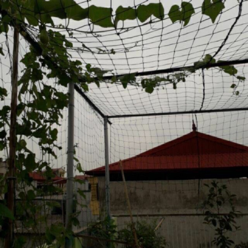 Lưới giàn leo - lưới trồng cây, rào vườn khổ rộng 2 mét
