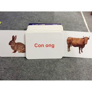 Bộ Flash Card Nhận Biết Sớm Cho Trẻ