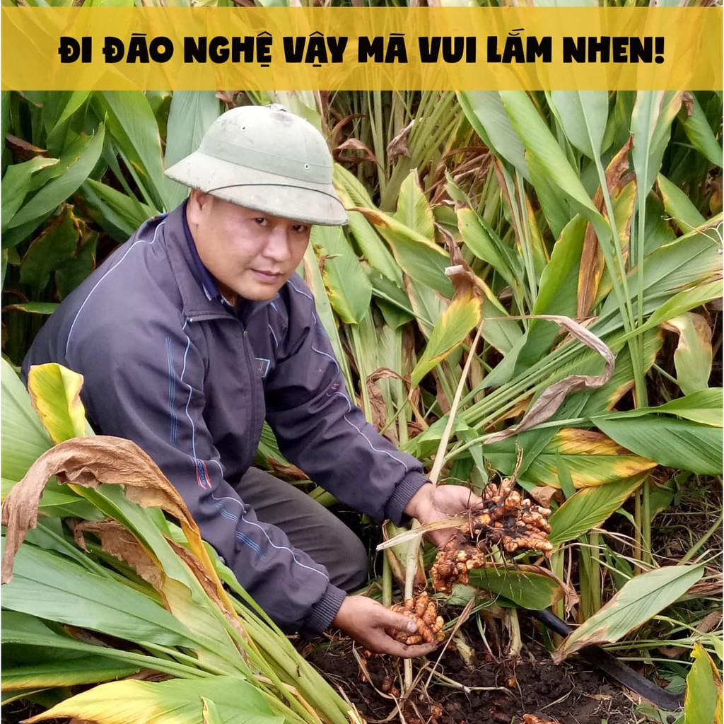 Tinh bột nghệ đỏ [LOẠI ĐẶC BIỆT] hàm lượng tinh chất quý (curcumin) cao QUÊ MỘT CỤC 250g (handmade) | BigBuy360 - bigbuy360.vn