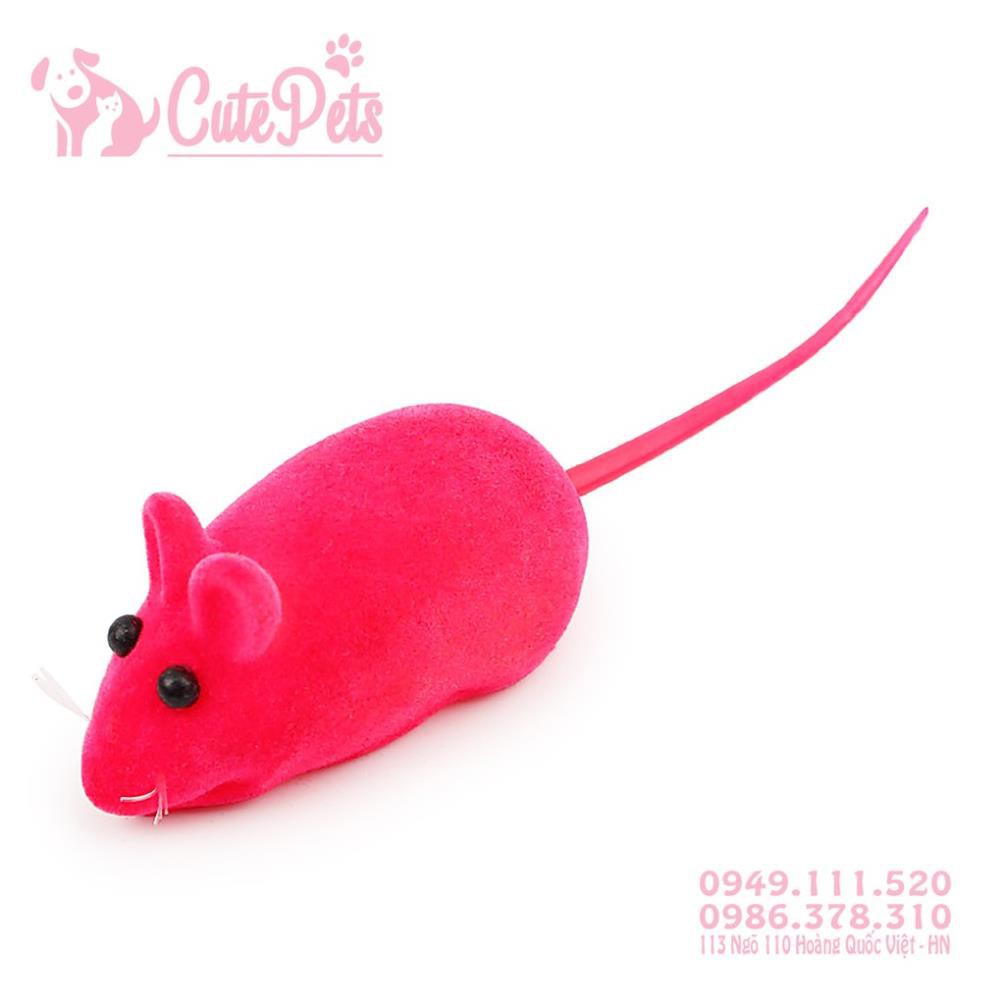 Đồ chơi chuột chút chít dành cho thú cưng - CutePets Phụ kiện chó mèo Pet shop Hà Nội