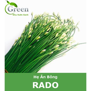 Hạt Giống Hẹ Ăn Bông Dễ Nảy Mầm, Thu Hoạch Liên Tục Kéo Dài