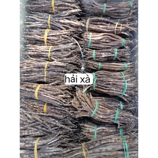 Combo 10 con hải xà