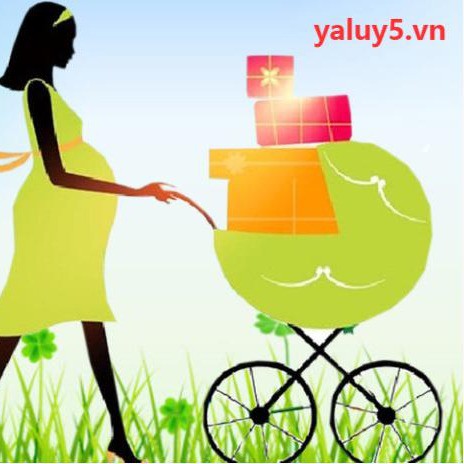 yaluy5.vn