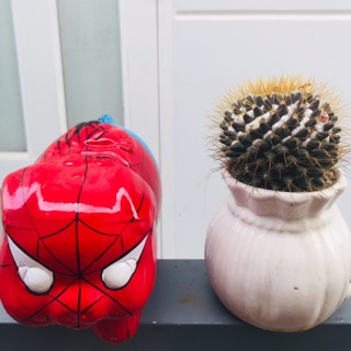 Heo đất handmade Người Nhện size M