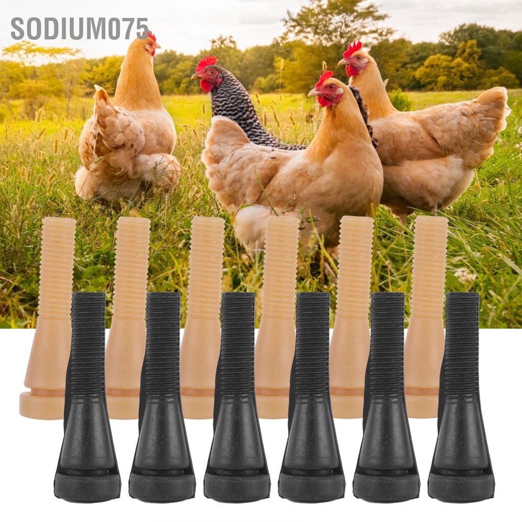 Sodium075 100PCS Máy nhổ lông gia cầm nhặt cao su Thay thế cho Vịt Gà Ngỗng