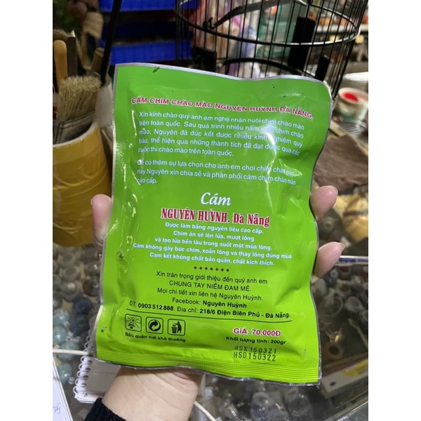 Cám chào mào Nguyên huỳnh