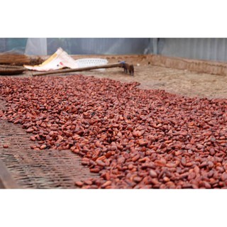 500 gram bột Ca cao cao cấp Đăk Lăk
