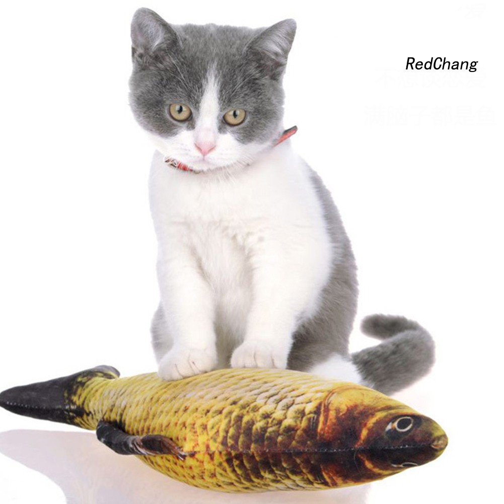 Cá Nhồi Bông Đồ Chơi Cho Mèo Cưng