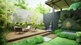Cây thằng lằng leo