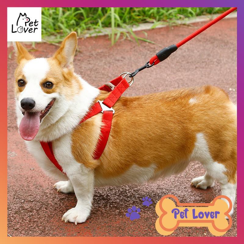 Dây dắt chó đi dạo, yếm dắt chó, chắc chắn, siêu cute