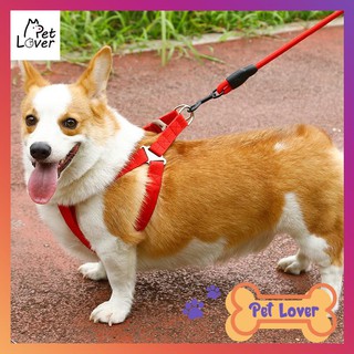 [FREESHIP] Dây dắt chó đi dạo, yếm dắt chó, chắc chắn, siêu cute