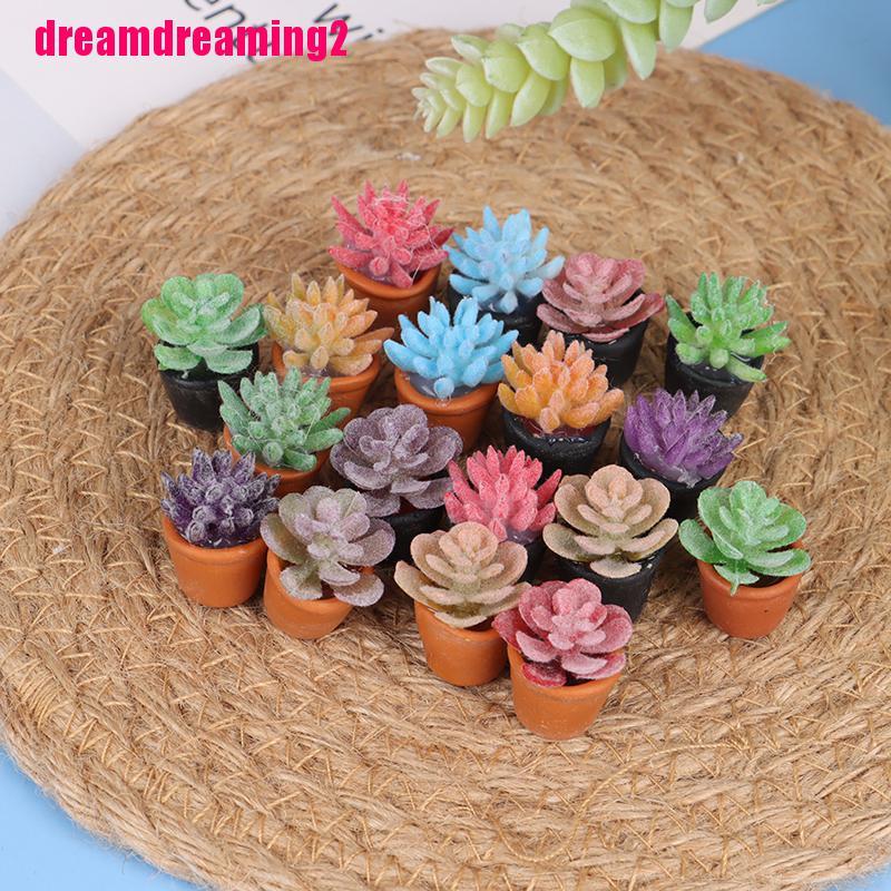 Bộ 5 Mô Hình Chậu Cây Mini Tỉ Lệ 1: 1 Dùng Để Trang Trí Nhà Búp Bê