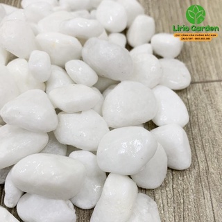 Sỏi trắng , đá trắng trang trí tiểu cảnh , cây cảnh gói 1 kg
