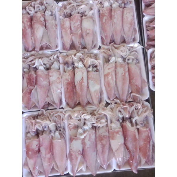 Mực ống tươi 1kg ngon ngọt ❤️ GIÒN NGON❤️ 1kg xào , hấp , thả lẩu