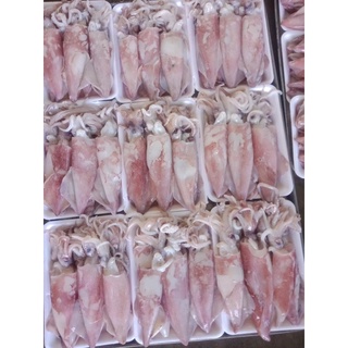 mực ống 💥 FREE SHIP 💥 tươi ngon 1kg giòn thơm