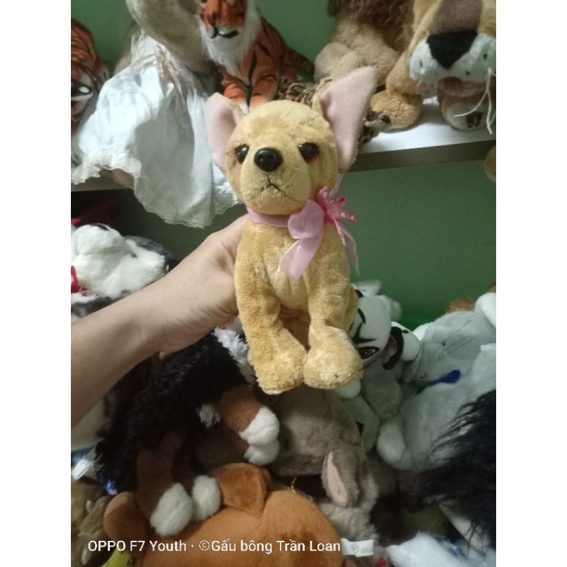 Gấu bông hình chú chó dễ thương