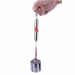 Cân móc mini bỏ túi 5kg fs-813