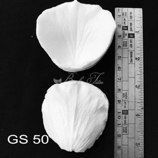 Gân silicon - gân hoa hồng 2 mặt gân