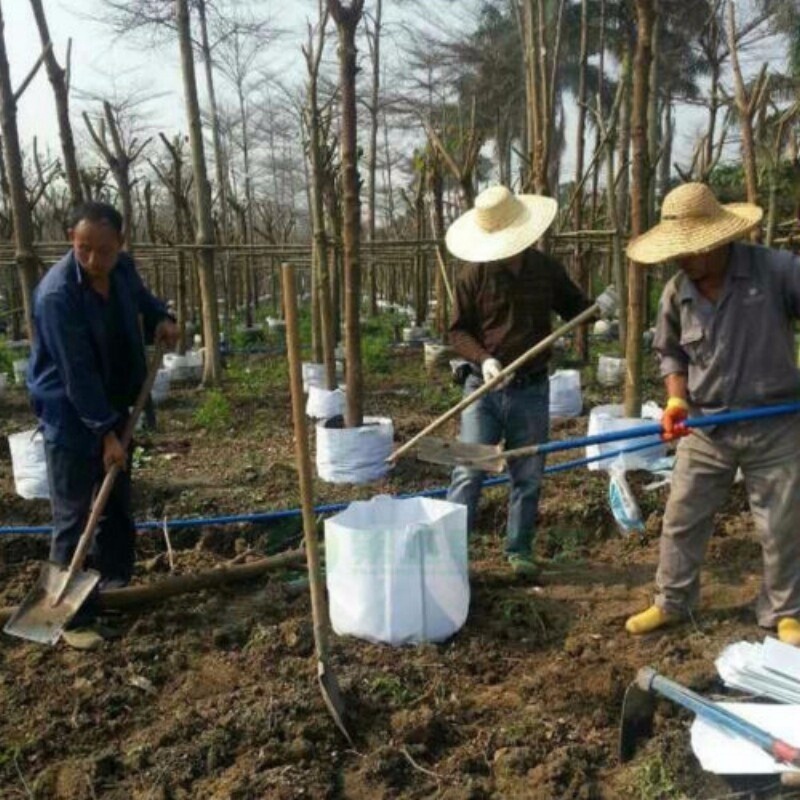 Túi Trồng Cây / Rễ Cây Bằng Vải Dày Dặn Tiện Dụng