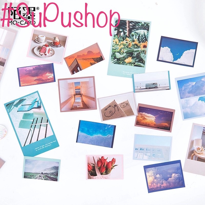 🍁🍁STICKER DÂY PHONG CẢNH SIU CHILL🍁🍁