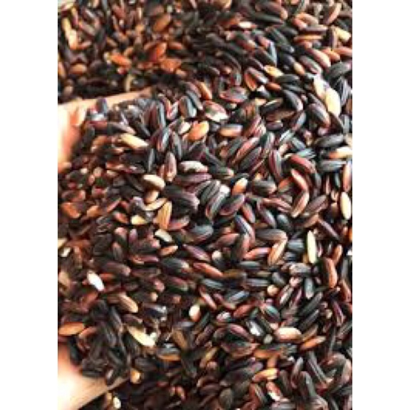 Gạo nếp cẩm điện biên 1kg hàng loại 1