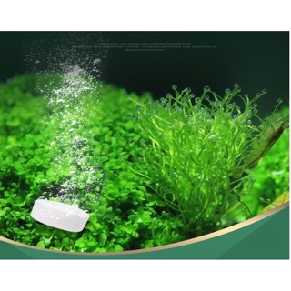 Viên sủi CO2 SunSun