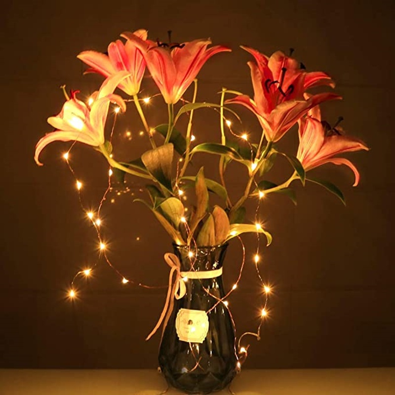 Bộ 1/2m dây đèn LED trang trí Giáng Sinh
