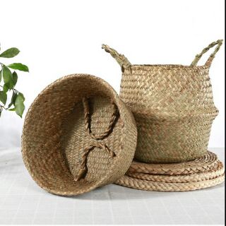 Giỏ cói đựng đồ, trồng cây các cỡ
