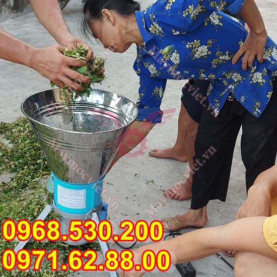 MÁY BĂM RAU BÈO CHO GÀ LỢN, VỊT NGAN, TRÂU BÒ - bảo hành 12 tháng