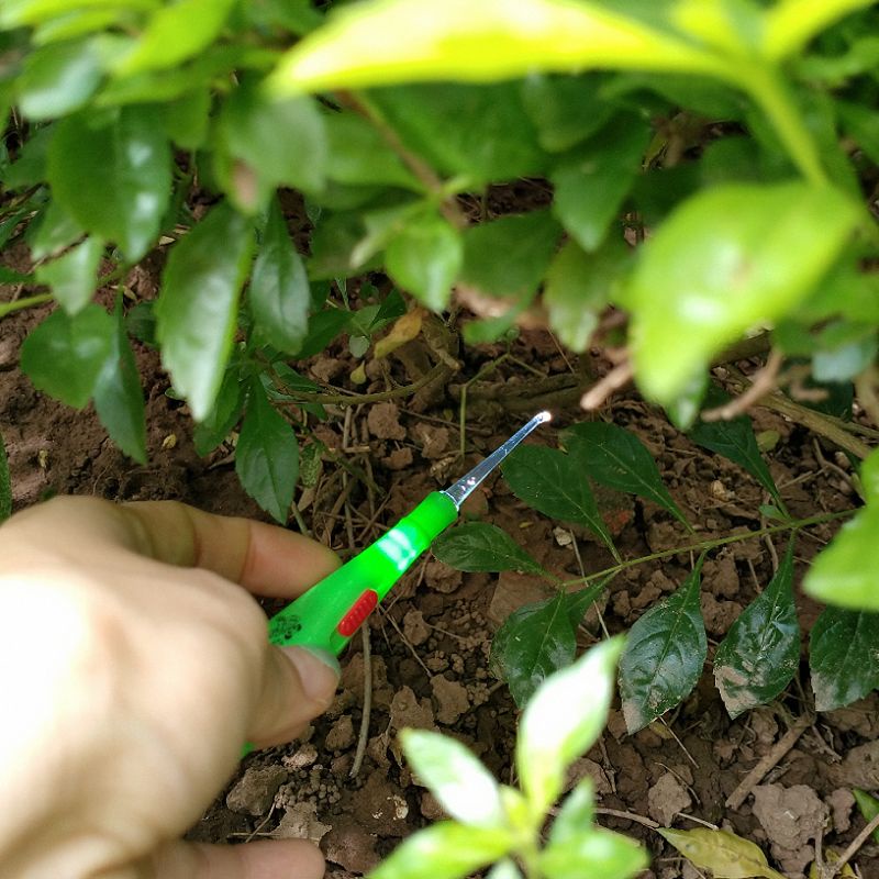 Lấy ráy tai có đèn/Dụng cụ lấy ráy tai cho bé