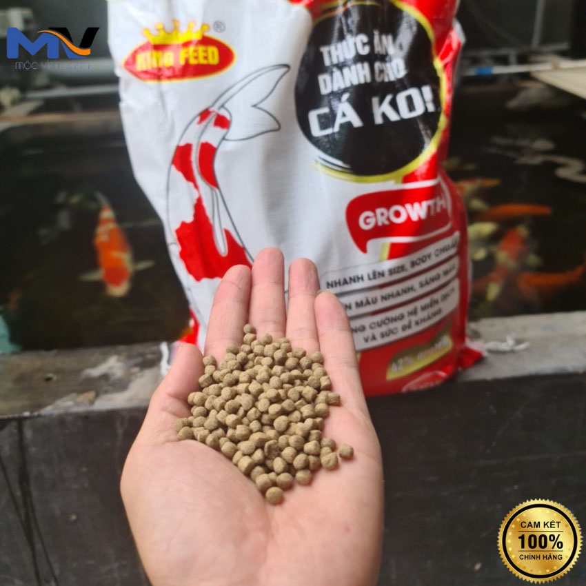 Cám cá koi King Feed 5kg siêu tăng trưởng 42% đạm, không váng dầu, body tròn đẹp