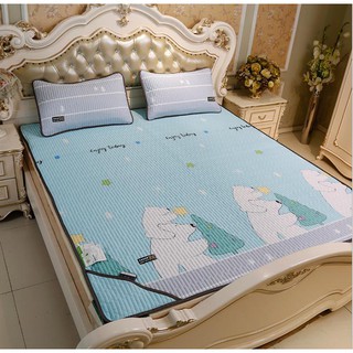 Chiếu điều hòa, chiếu tencel 2m x 2.2m cao cấp