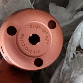 Chậu nhựa trồng lan giả đất phi 21