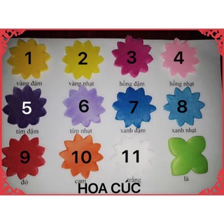 COMBO hoa các loại