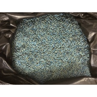 Bả thóc diệt chuột 01kg