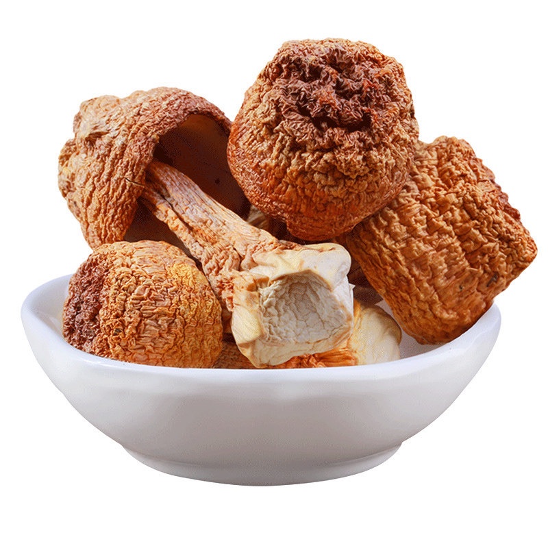 Nấm Thái Dương / Nấm Brazil