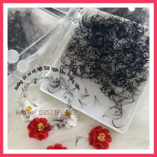 mi nối fan 6d 0.07 ( hộp 500 fan) chuẩn độ cong giá hấp dẫn - uy tín, chất lượng