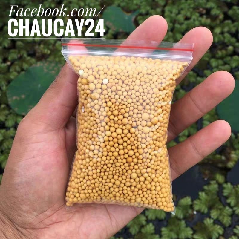 Phân tan chậm cho sen đá, xương rồng. Phân vàng OSMOCOTE (100 gr)
