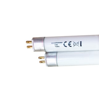 Bóng đèn 4W thay thế đèn bắt muỗi - Ecoguard 4W