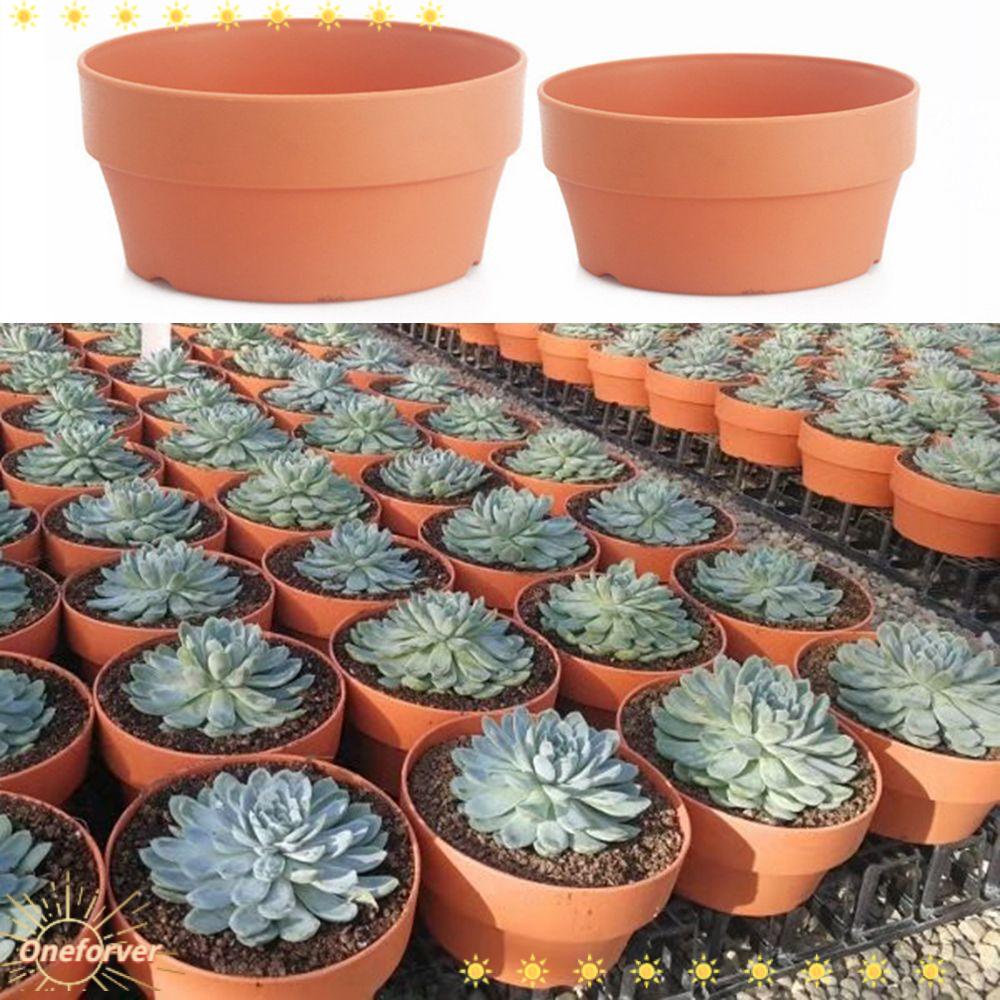 Chậu Hoa Bằng Nhựa Dùng Trang Trí Độc Đáo