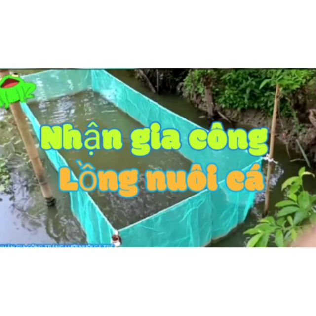 Lồng nuôi cá trê đồng