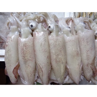 ( HOẢ TỐC HÀ NỘI ) Mực Trứng Cát Bà Cỡ Vừa 500gr Loại Ngon