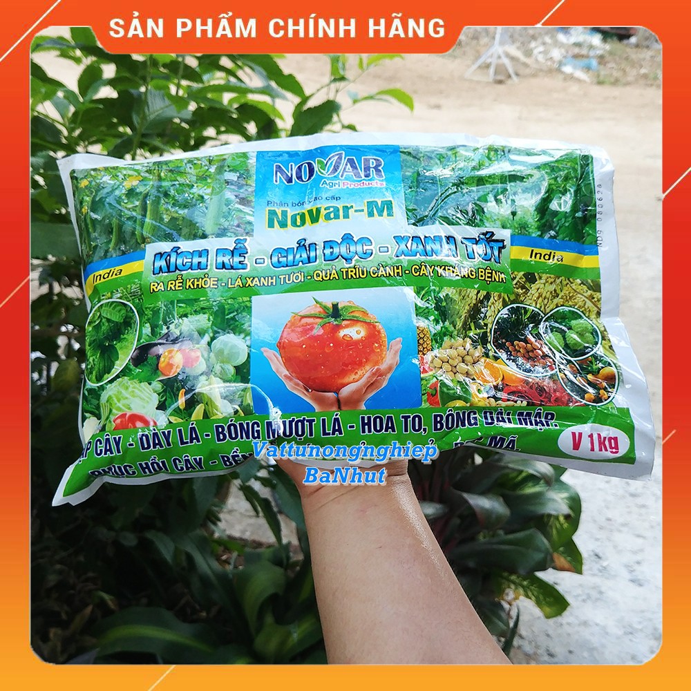 1 KG Phân Bón Cao Cấp NOVAR – M Kích Rễ, Giải Độc, Xanh Tốt, Ra Rễ Khỏe, Lá Xanh Tươi, Cây Kháng Bệnh