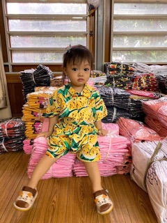 BỘ HOA QUẢ CHO BÉ