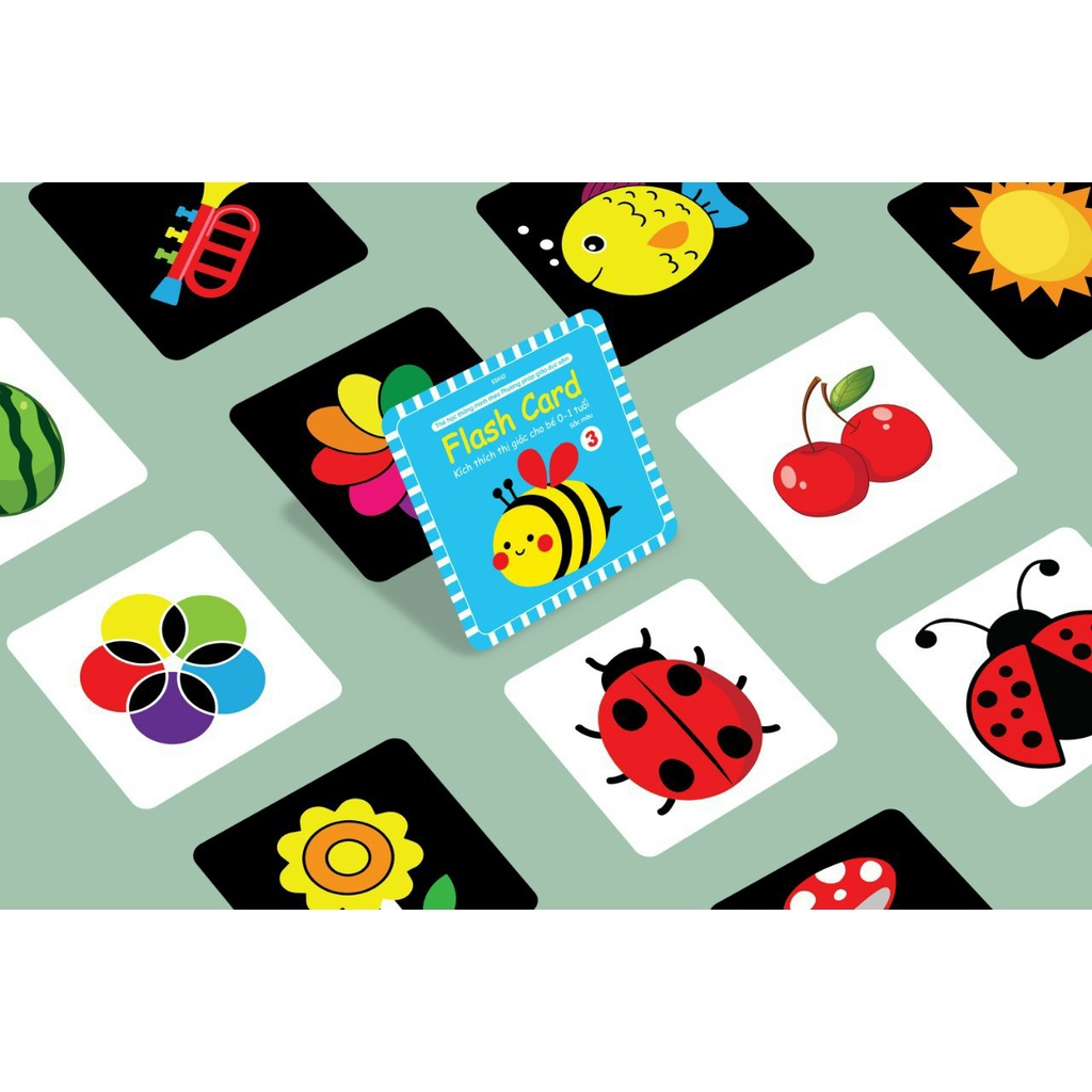 Flashcard - Kích thích thị giác Cho bé 0-1 tuổi+ theo phương pháp giáo dục sớm (Việt Hà)