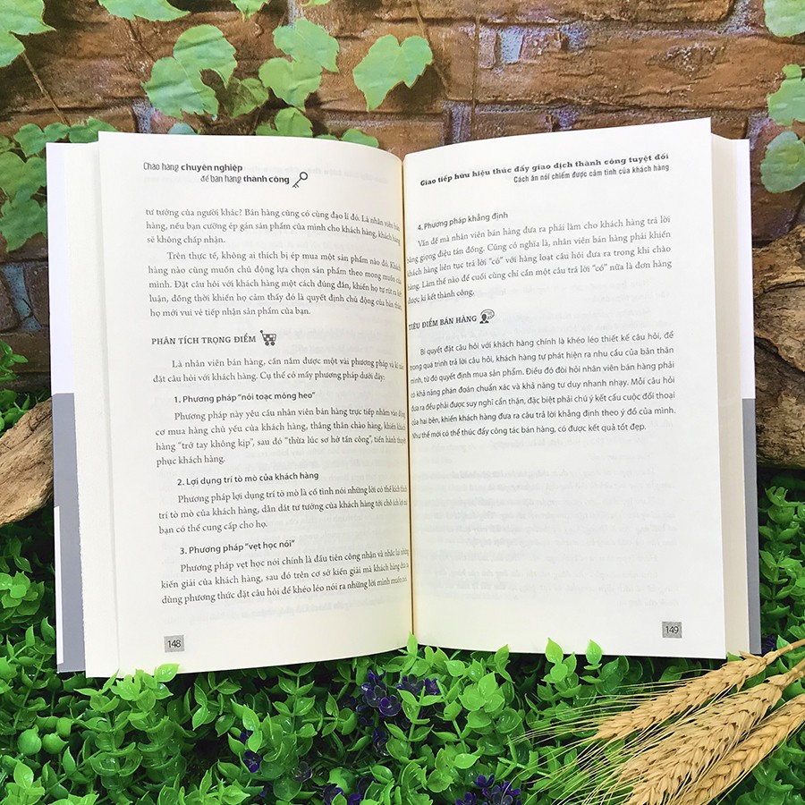 Sách - Chào Hàng Chuyên Nghiệp Để Bán Hàng Thành Công | BigBuy360 - bigbuy360.vn