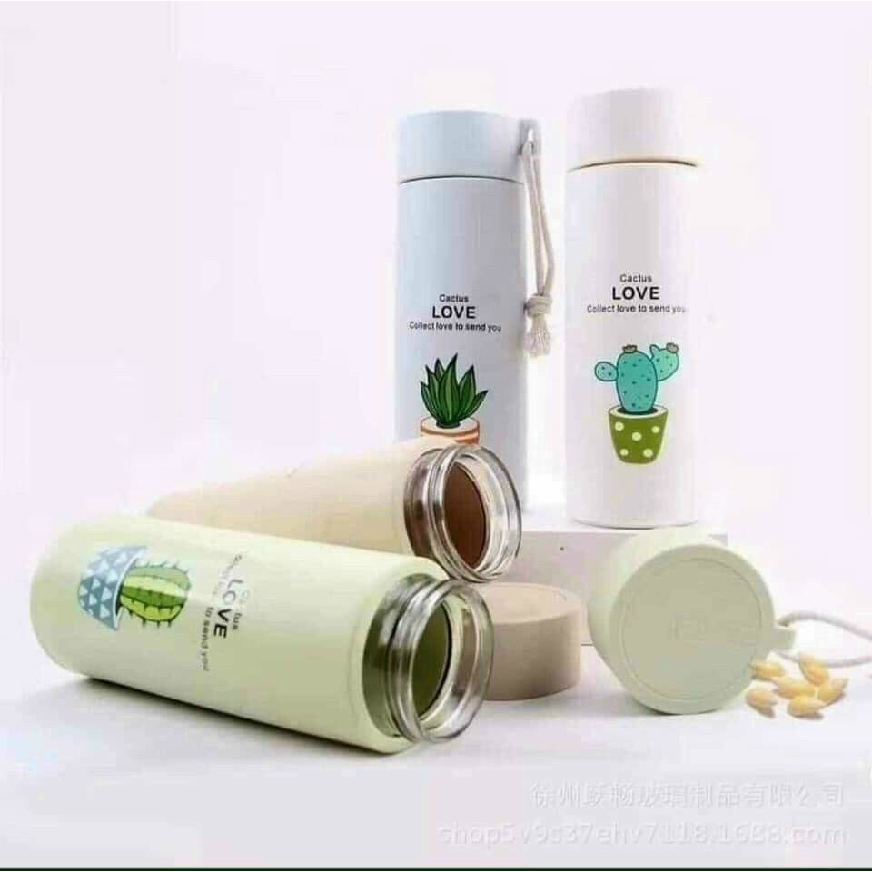 Bình Đựng Nước [SỈ RẺ NHẤT] [HCM] Lõi Thuỷ Tinh Hoạ Tiết Xương Rồng Giá Rẻ