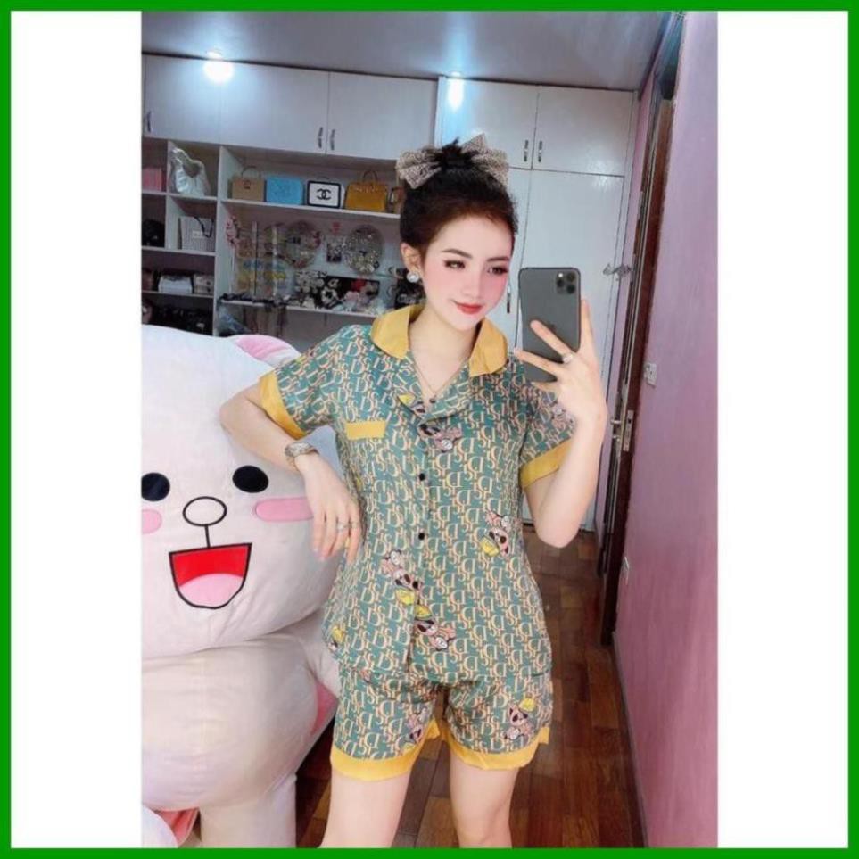 Đồ Bộ Pijama- Bộ Lụa Đùi 3D Hàng Cao Cấp Loại 1 | BigBuy360 - bigbuy360.vn