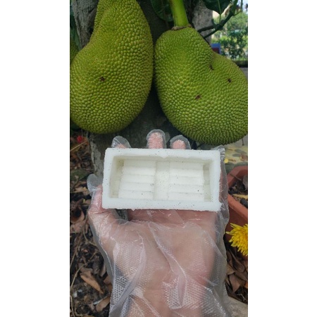 KHUÔN ĐÚC BẬC THANG, TRANG TRÍ TIỂU CẢNH ( CHẤT LIỆU SILICON 858)