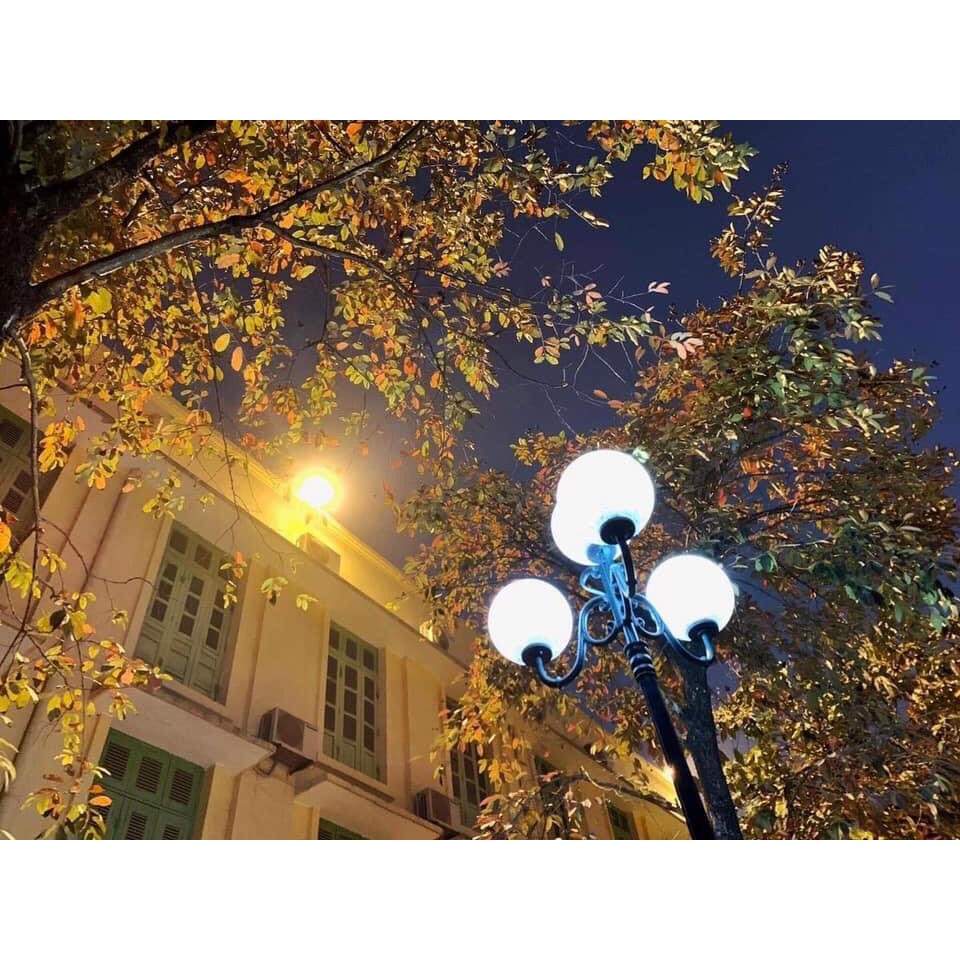 😍Đèn pha năng lượng mặt trời ÁNH SÁNG VÀNG- Mayor Wolf